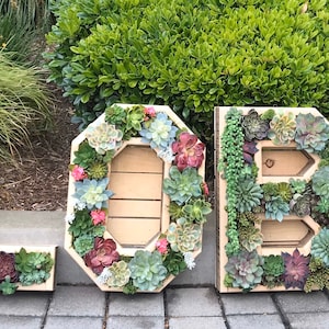 A-Z Monogram Wooden 20 Letter Succulent vertical Garden/ DIY Kit/ Succulent wall planter/ faux or live succulent planter/ living wall image 8