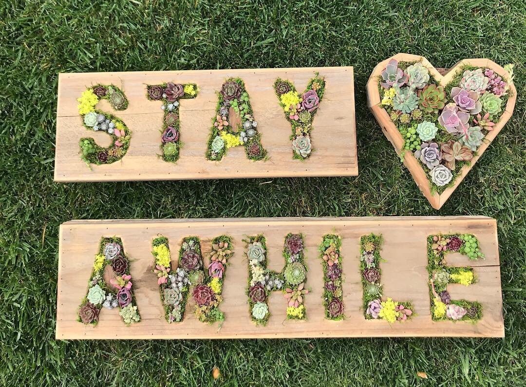 Word Box Vertical Suculent Arrangement / Suculento jardín / | Etsy