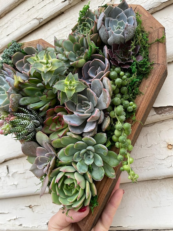 花瓶・フラワースタンド Mid-Century Boxcar Succulent Planters Mid