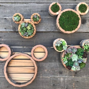 Mouse Vertical Succulent Garden Arrangement: living wall/ succulent wall planter/ faux succulent planter/ diy kits