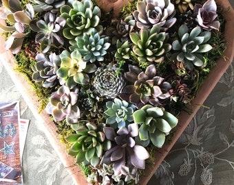 Large Heart succulent vertical garden : living wall/ faux / wall decor/ diy kits / client gift / Wedding/ Valentine’s Day/ girlfriend gift