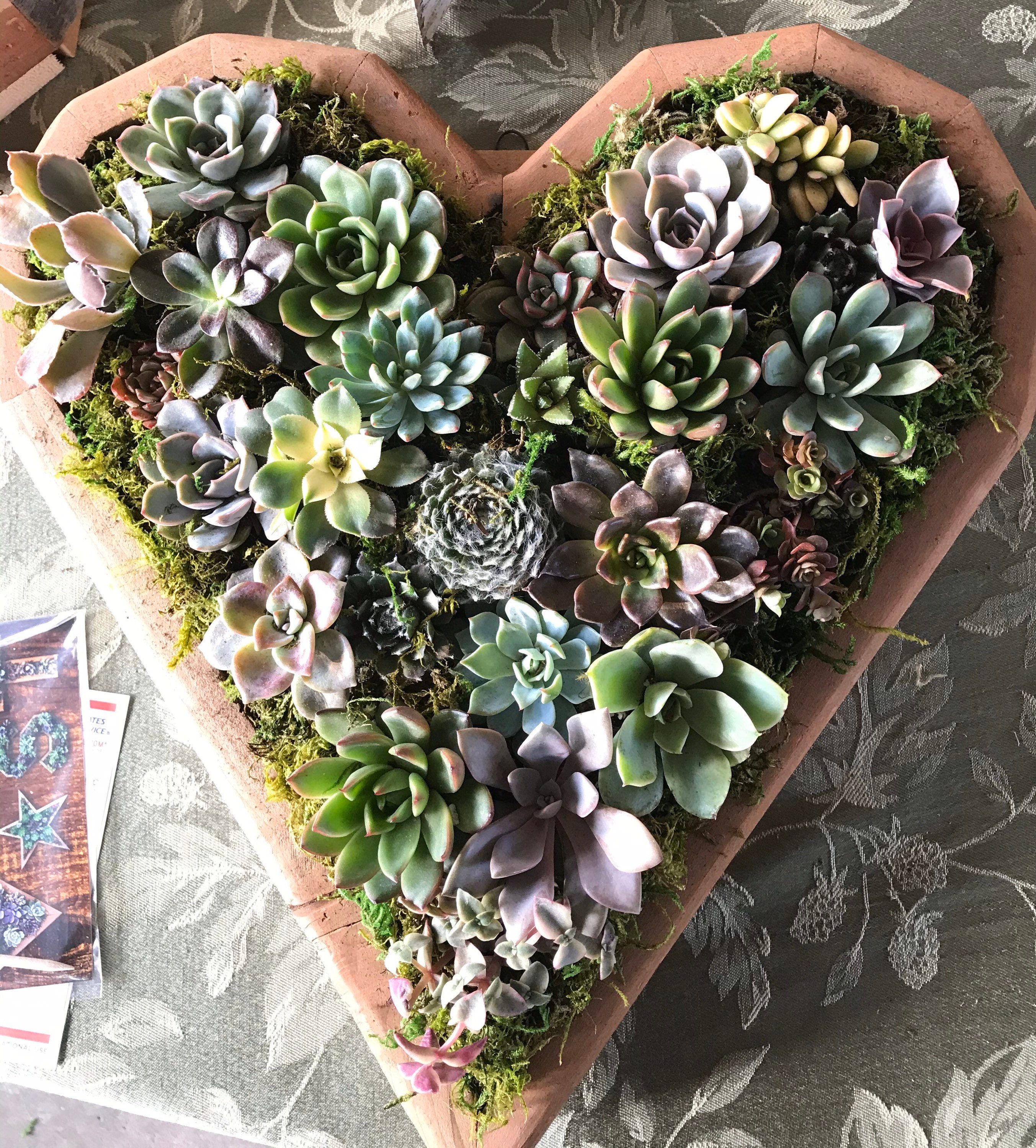 Large Heart succulent vertical garden : living wall/ faux / wall decor/ diy kits / client gift / Wedding/ Valentine’s Day/ girlfriend gift