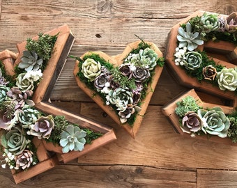 A-Z 10”Letters & 0-9 Numbers Succulent Vertical Garden: redwood DIY Kit/Planted live succulents/ faux /living wall/ wedding gift/girlfriend