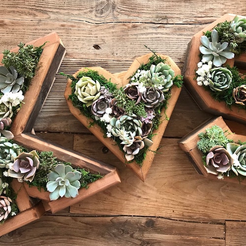 Home & Kitchen Brown Pack of 10 Standard Living Vase Flower Bouquet