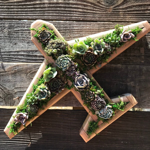 Airplane Vertical Succulent Garden Arrangement: living wall/ diy kits/ succulent wall planter/ faux succulent planter