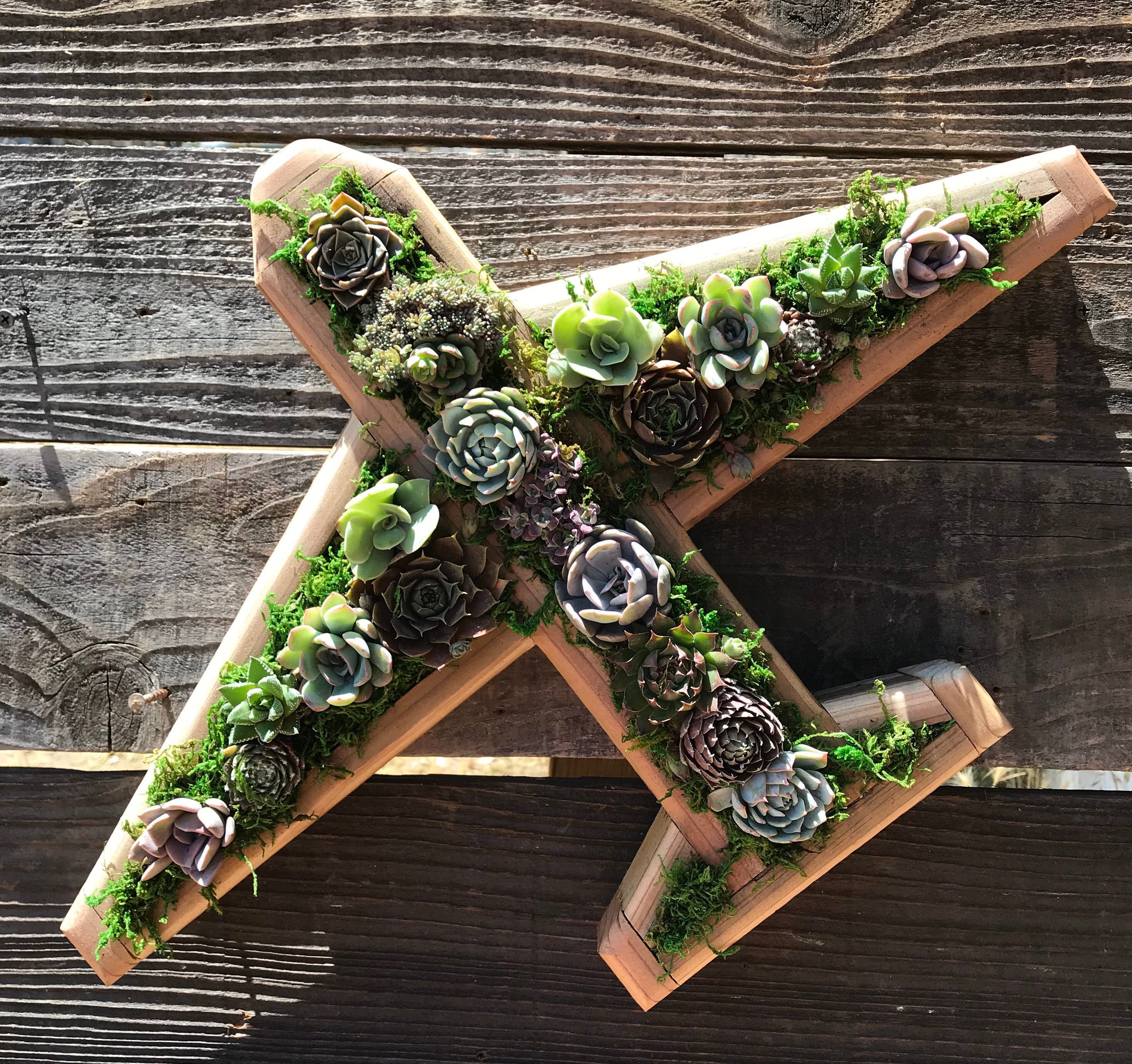 Airplane Vertical Succulent Garden Arrangement: living wall/ diy kits/ succulent wall planter/ faux succulent planter