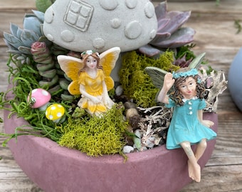 fairy garden diy kit/ housewarming gift/ birthday gift/ client gift/ Mother’s Day / valentines gift/ pixie party /succulent arrangement