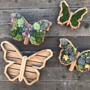 Butterfly Vertical Succulent Garden Arrangement: living wall/ succulent wall planter/ faux succulent planter/ diy kits