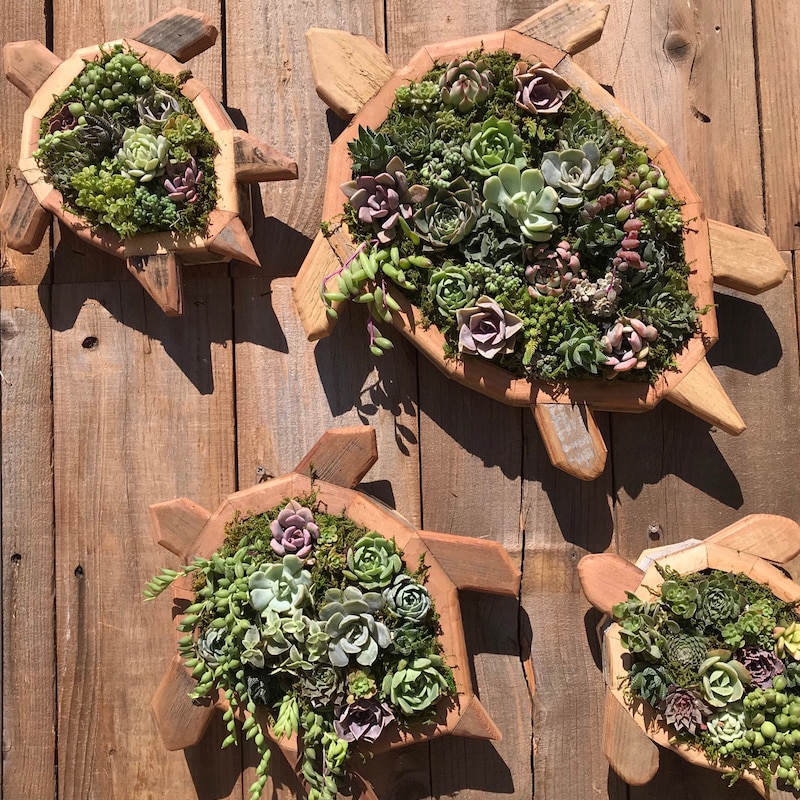 Sea Turtle Planters - Etsy