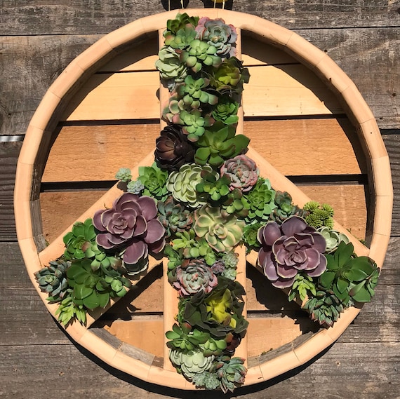 Peace Symbol Succulent Wall Planter: Handmade Urban Redwood, Cedar - Etsy