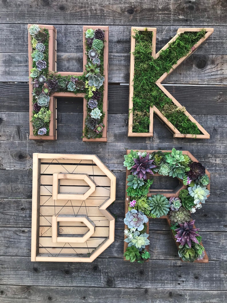 A-Z Monogram Wooden 20 Letter Succulent vertical Garden/ DIY Kit/ Succulent wall planter/ faux or live succulent planter/ living wall image 3