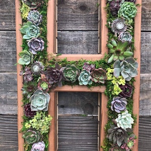 A-Z Monogram Wooden 20 Letter Succulent vertical Garden/ DIY Kit/ Succulent wall planter/ faux or live succulent planter/ living wall Planted Live Plants