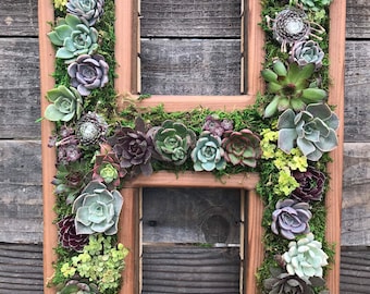 A-Z Monogram Wooden 20" Letter Succulent vertical Garden/ DIY Kit/ Succulent wall planter/ faux or live succulent planter/ living wall