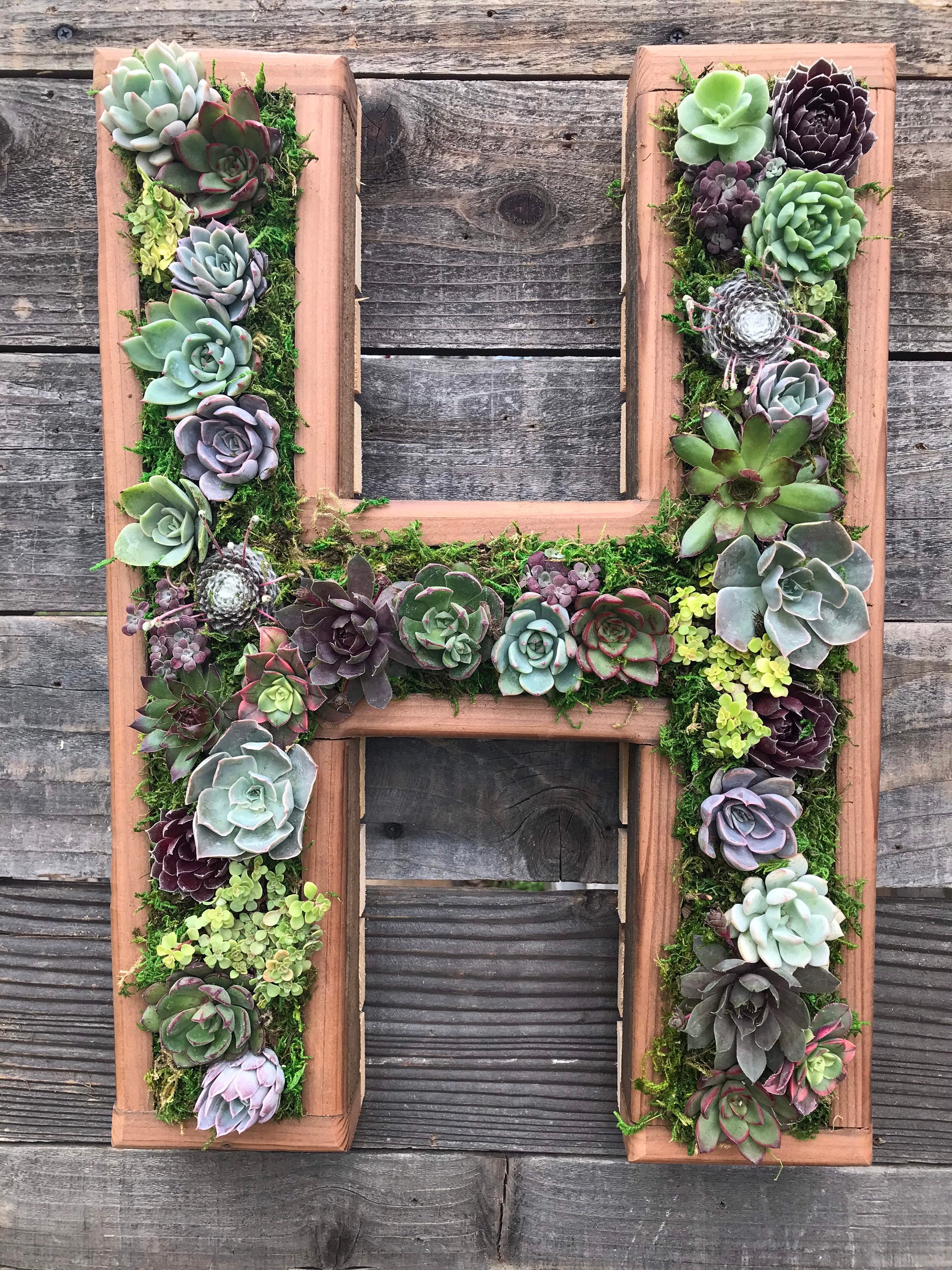 A Z Monogram Wooden 20 Letter Succulent Vertical Garden Etsy Singapore