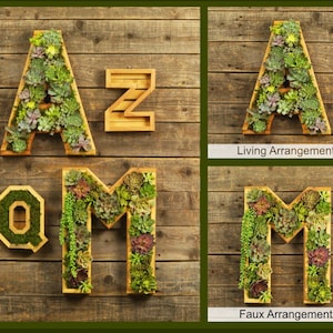 A-Z Monogram Wooden 20 Letter Succulent vertical Garden/ DIY Kit/ Succulent wall planter/ faux or live succulent planter/ living wall image 2