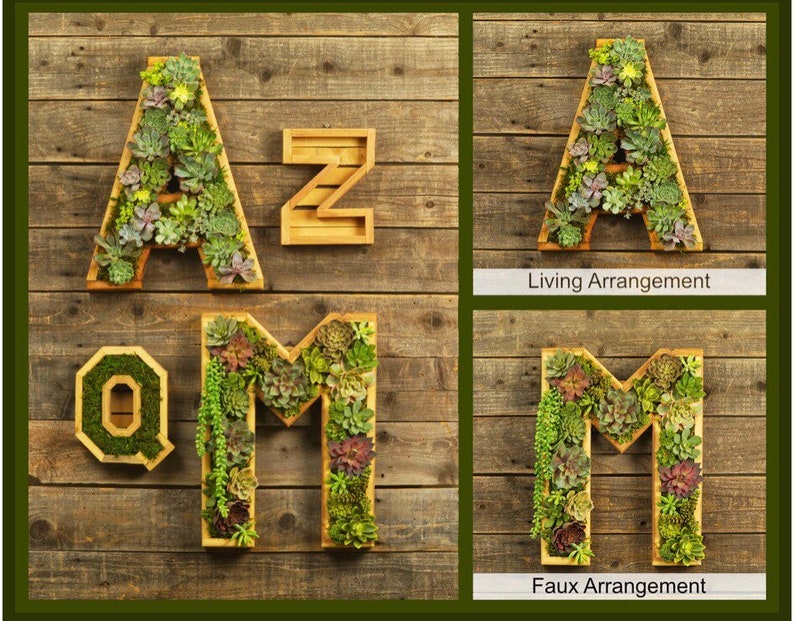 A-Z Monogram Wooden 20 Letter Succulent vertical Garden/ DIY Kit/ Succulent wall planter/ faux or live succulent planter/ living wall image 2