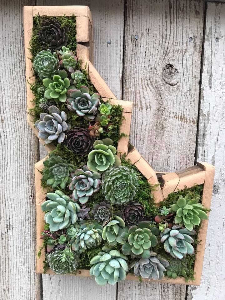 Kileen's Garden - Etsy