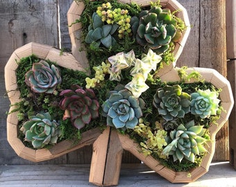 Clover Vertical Succulent Garden Arrangements: living wall/ succulent wall planter/ faux succulent planter/ diy kits