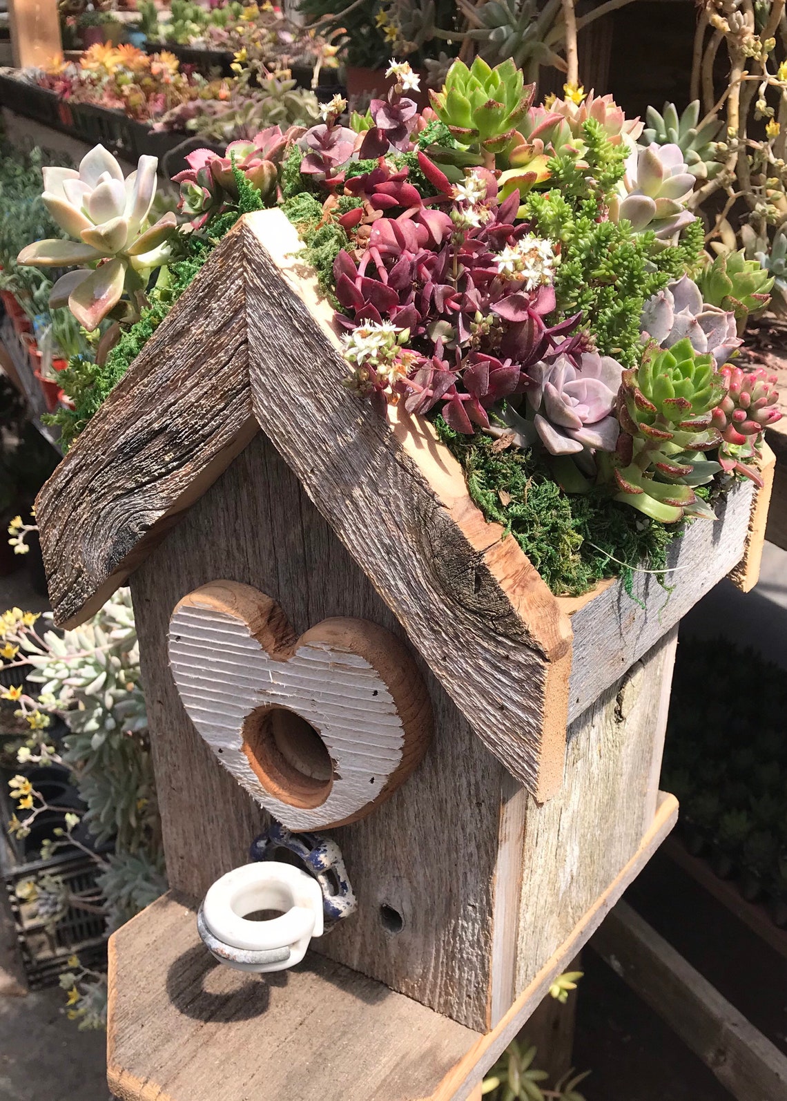 Birdhouse planter made from urban redwood with a wire hanger Etsy