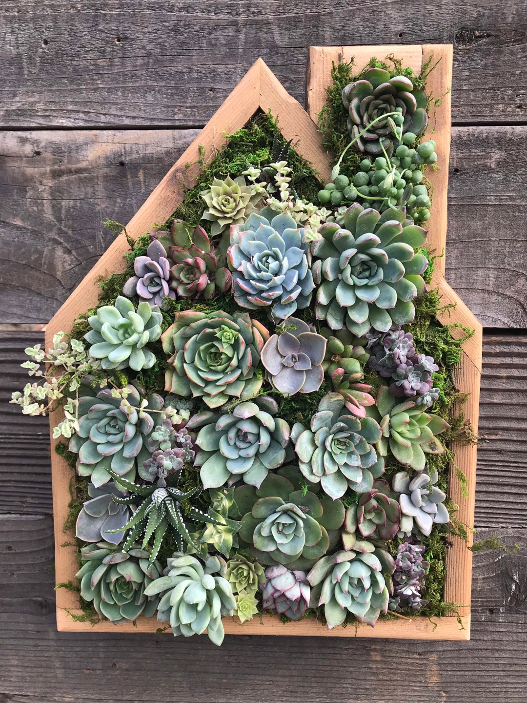 House/home Succulent Vertical Garden Arrangement: Living Wall/ Succulent  Wall Planter/ Faux Succulent Planter/ Diy Kits - Etsy