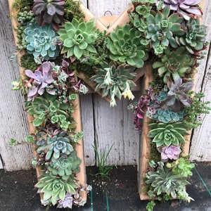 A-Z Monogram Wooden 20 Letter Succulent vertical Garden/ DIY Kit/ Succulent wall planter/ faux or live succulent planter/ living wall image 7