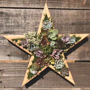 May include: A wooden star-shaped succulent arrangement. The star is made of light-colored wood and filled with a variety of succulents in shades of green, purple, and brown, accented with green moss. The background is a weathered wooden surface.