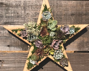 Star Vertical Succulent Garden Arrangement: living wall/ succulent wall planter/ faux succulent planter/ diy kits/ Texas star/ 4th of July