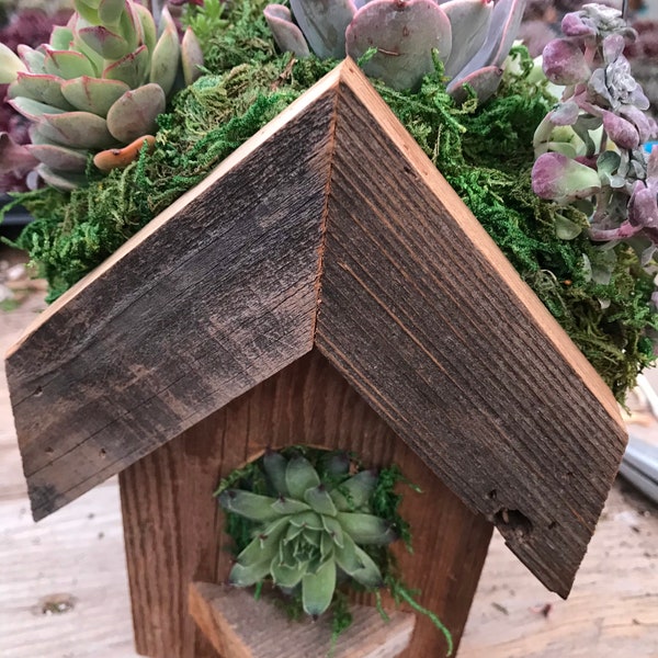 Birdhouse planter made from urban redwood with a wire hanger