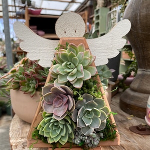 Kileen's Garden - Etsy