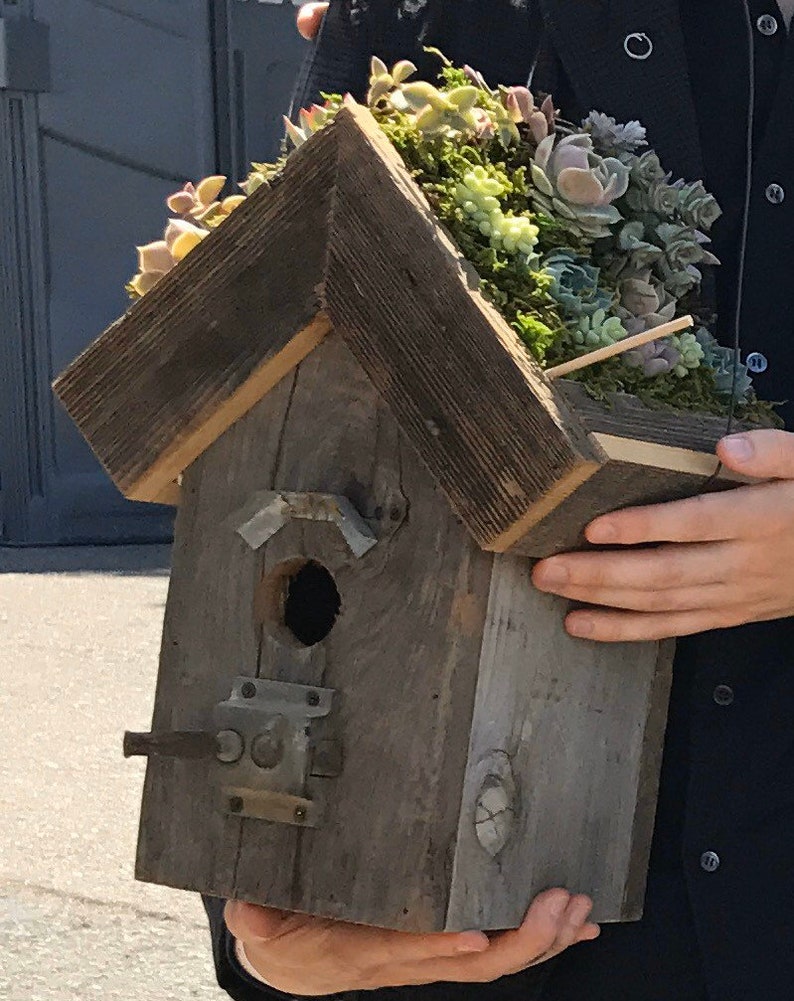 Birdhouse Planter Made From Urban Redwood With a Wire Hanger Etsy