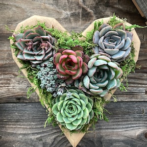 Small Heart shape 7&quot; succulent vertical garden planter: living wall/ faux succulent/girlfriend gift/diy kits/ client gift/Valentine’s Day