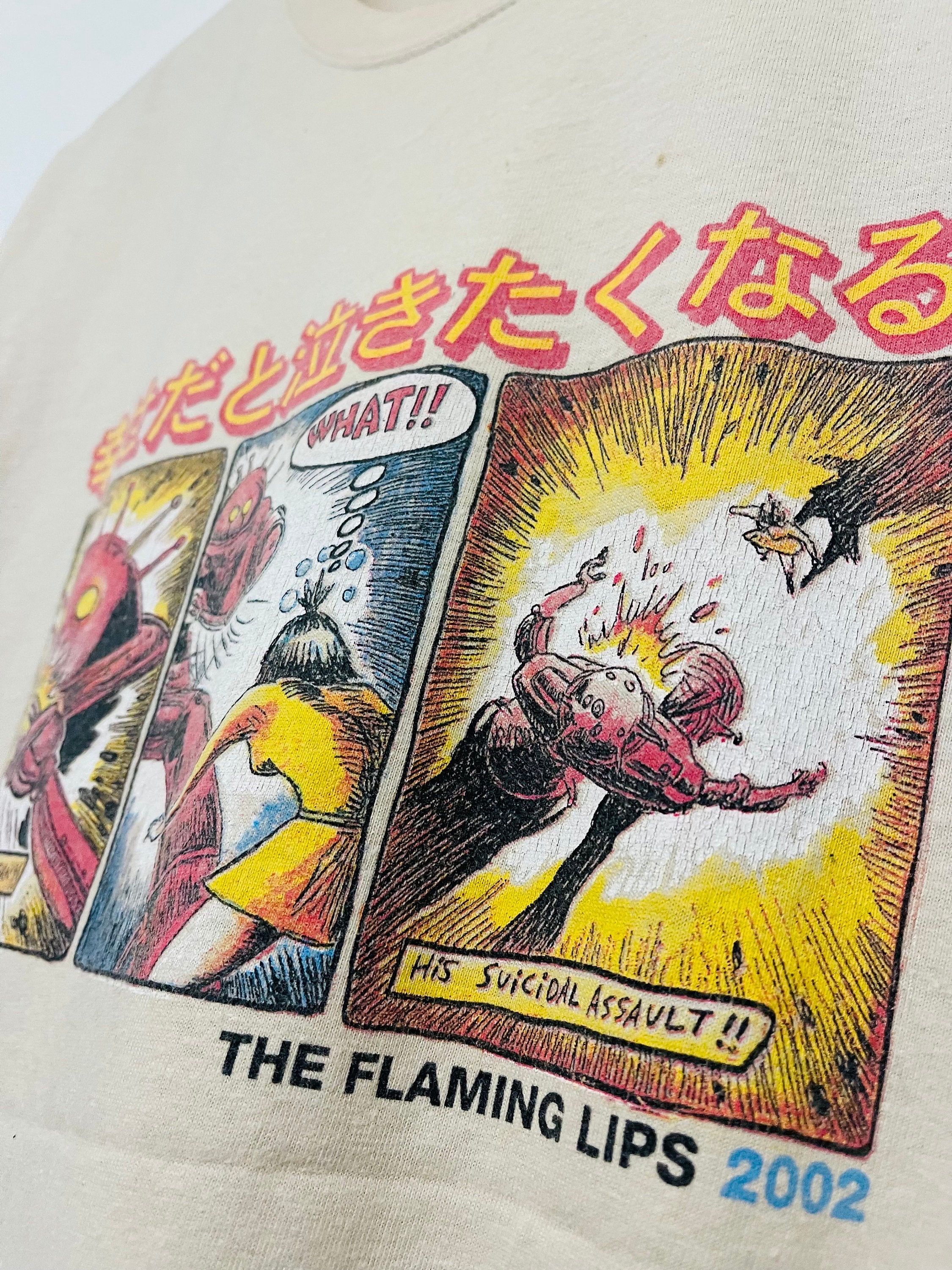 Vintage 00s the Flaming Lips : Yoshimi Battles the Pink Robits
