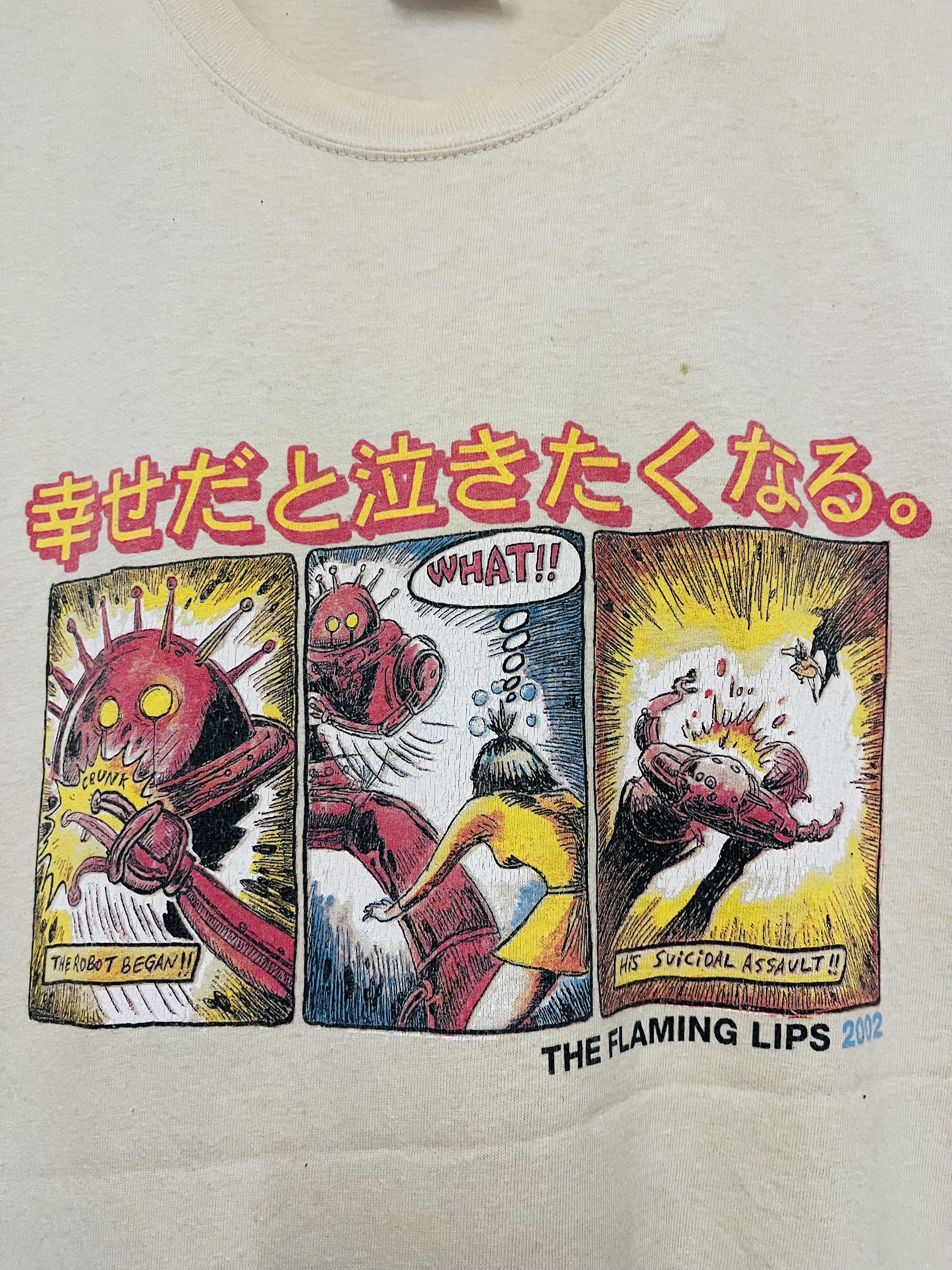 Vintage 00s the Flaming Lips : Yoshimi Battles the Pink Robits