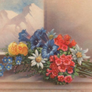Bouquet d'edelweiss sur le fond des Alpes. impression vintage. Carte postale - Illustration - Impression d'art - Art sur toile - Poster - Plusieurs tailles