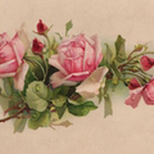 Fresh roses in dew drops. Vintage print. Postcard - Illustration - Art Print - Canvas Art - Poster - Multiple Size