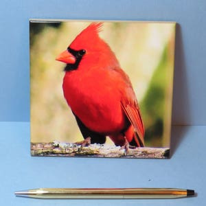 Cardinal Ceramic Tile, bird coaster, bird lover gift, birder gift, birdwatcher gift