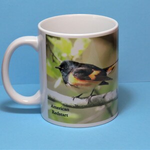 American Redstart Coffee Mug, bird lover mug, birding gift, birdwatcher gift, American Redstart, American Redstart cup, Redstart gift