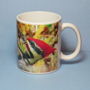 Pileated Woodpecker Coffee Mug, bird lover gift, birder gift, birdwatcher gift, bird mug, woodpecker mug, woodpecker gift, woodpecker cup