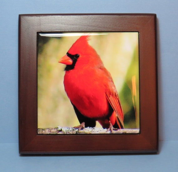 Northern Cardinal Framed Tile Redbird Image 0