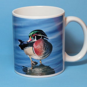 Wood Duck II Coffee Mug, duck mug, duck lover, bird mug, bird coffee mug, duck coffee mug, bird lover gift, birder gift, birdwatcher gift