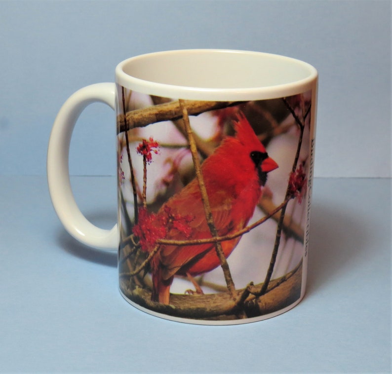 Northern Cardinal Coffee Mug, Bird Coffee Mug, Bird Mug, Bird Lover Gift, Birder Gift