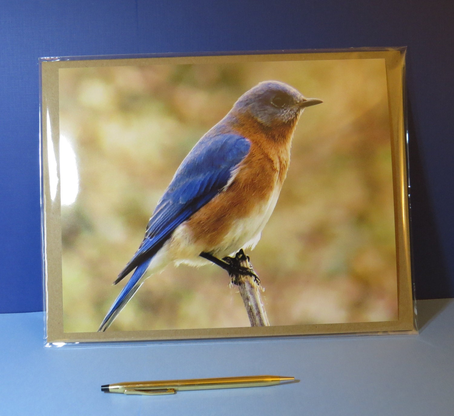 Eastern Bluebird Photo Print, Bluebird Lover, Bluebird Print, Bird ...