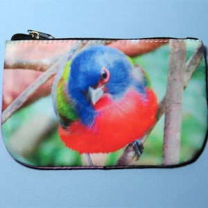 Painted Bunting Coin Purse, bird lover gift, birder gift, birdwatcher gift