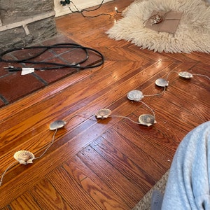 Puede incluir: Una cadena de luces con conchas marinas como bombillas, enhebrada a través de un suelo de madera. Las conchas son de color marrón claro con acentos blancos.