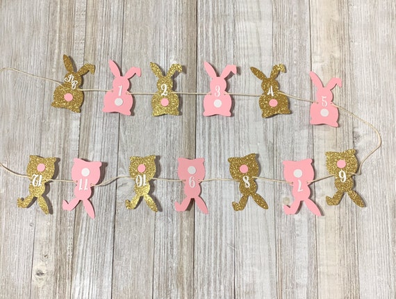 12 pcs Bunny Pompom Tail Cupcake Topper Gold Glitter for Birthday Baby Shower Baby Girl Boy Some Bunny is One theme