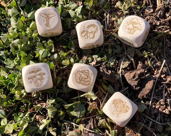Laser Engraved Wood Mushroom Dice Single d6