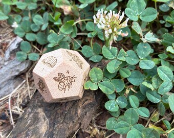 Laser Engraved Wood Bugs Dice Single d12