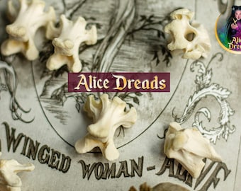 Ravens vertebrae bead for dreads Beads for dreadlocks Natural vertebrae Bohemian, Juju, Oddities, Supplies