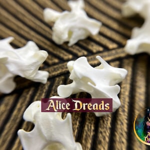 May include: Five white bone-like objects with intricate details, arranged on a wooden surface. The objects are similar in shape and size, with a rough, textured surface. The text "Alice Dreads" is visible in the image.