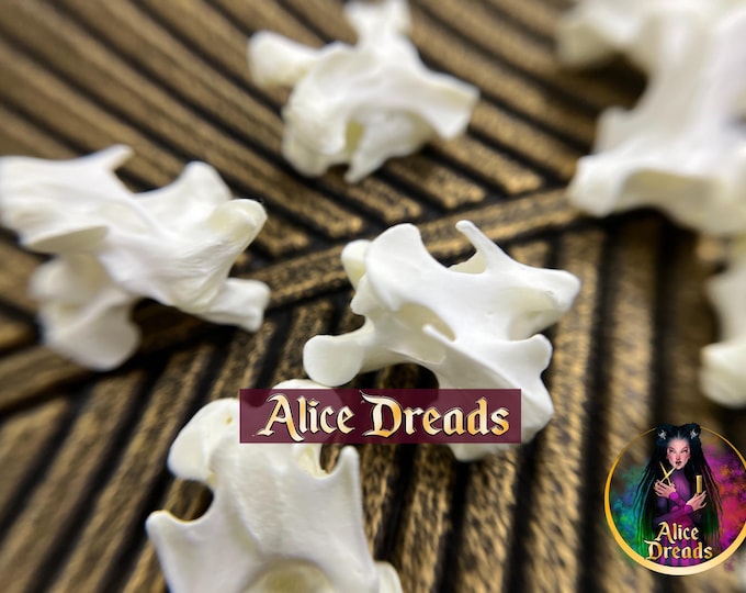 Vertebrae Bead: Natural Bone Dreadlock Supplies